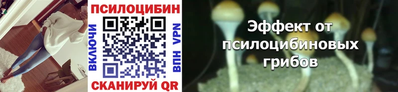 купить закладку  Бахчисарай  Галлюциногенные грибы мухоморы 
